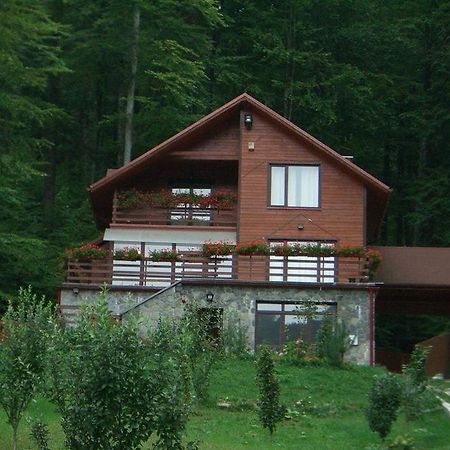 Villa Mara Sinaia Zewnętrze zdjęcie