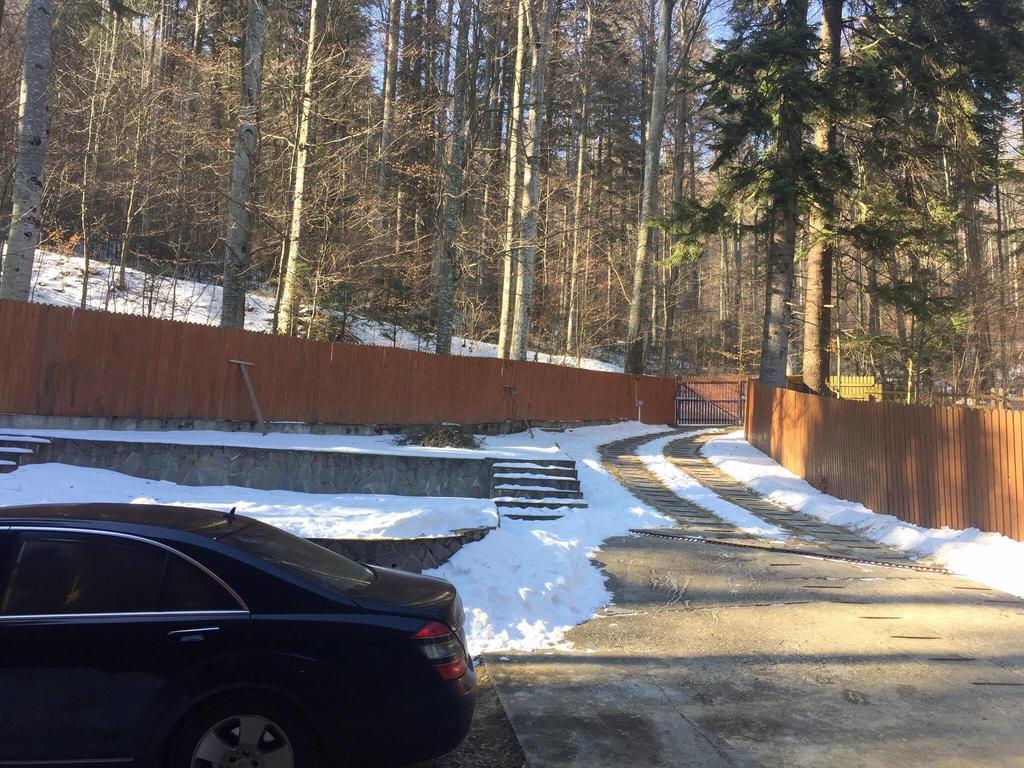 Villa Mara Sinaia Zewnętrze zdjęcie