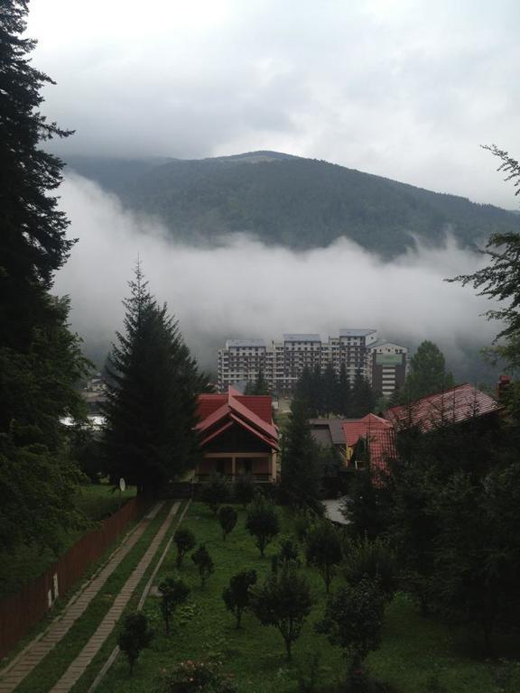 Villa Mara Sinaia Zewnętrze zdjęcie