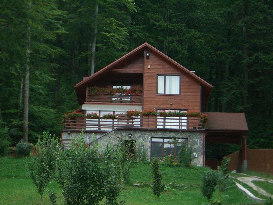 Villa Mara Sinaia Zewnętrze zdjęcie