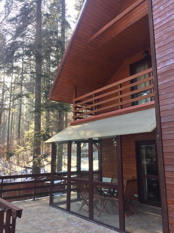 Villa Mara Sinaia Zewnętrze zdjęcie