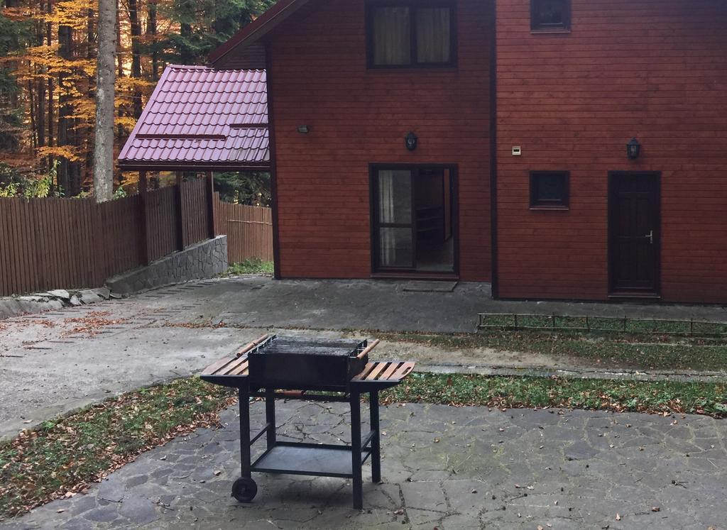 Villa Mara Sinaia Zewnętrze zdjęcie